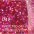 Coral Classic 049